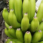 شقة Happy غاراتْشيكو